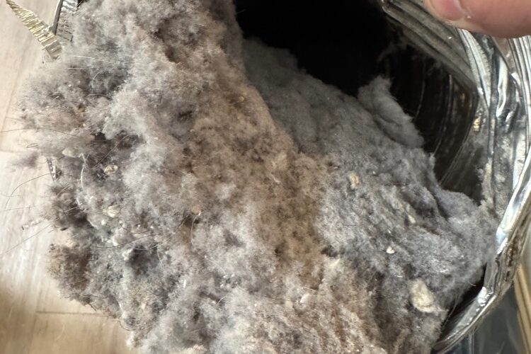 View of a dirty dryer vent interior